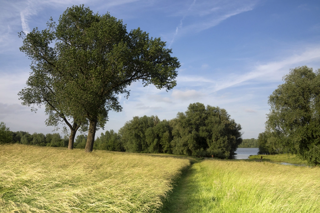 Heers Gorinchem: Laat uw Bedrijf Uitblinken in de Digitale Wereld