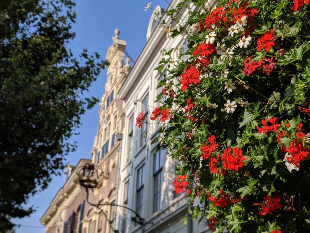 Verbeter de Online Zichtbaarheid van Jouw Bedrijf in Deventer met SEO