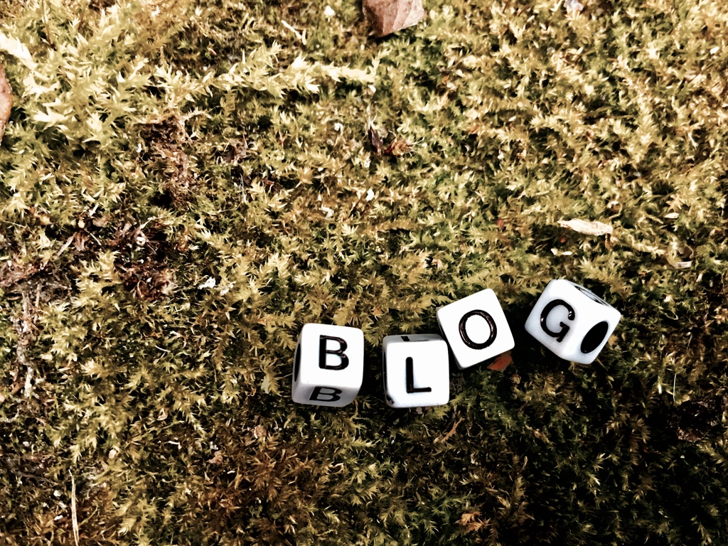 Maximizing Your Online Impact with a Professional Blog Writer