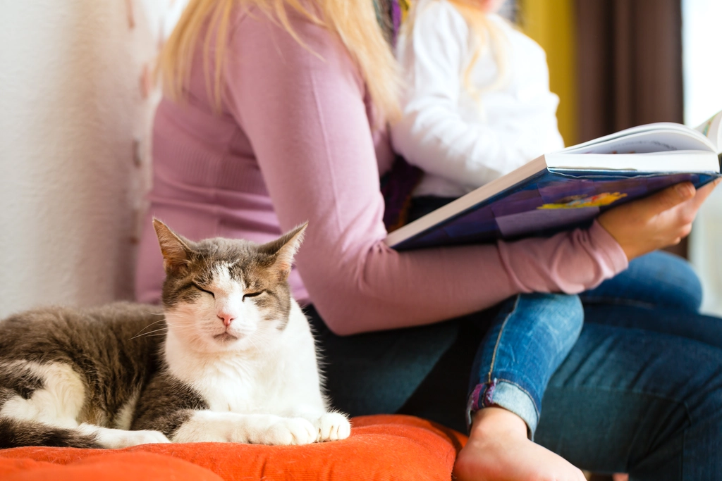 Ontdek Een Inspirerend Storytelling Voorbeeld: Laat Je Verbeelding Spreken