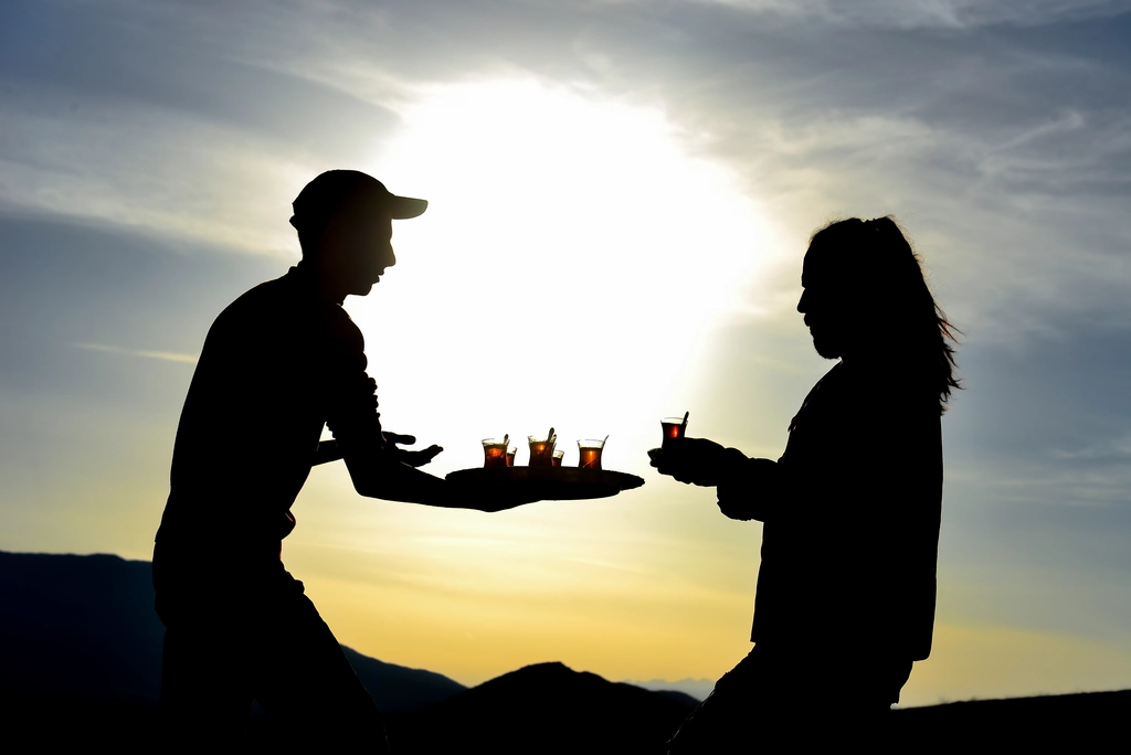 Elevate Your Online Presence with Our SEO Guest Posting Service