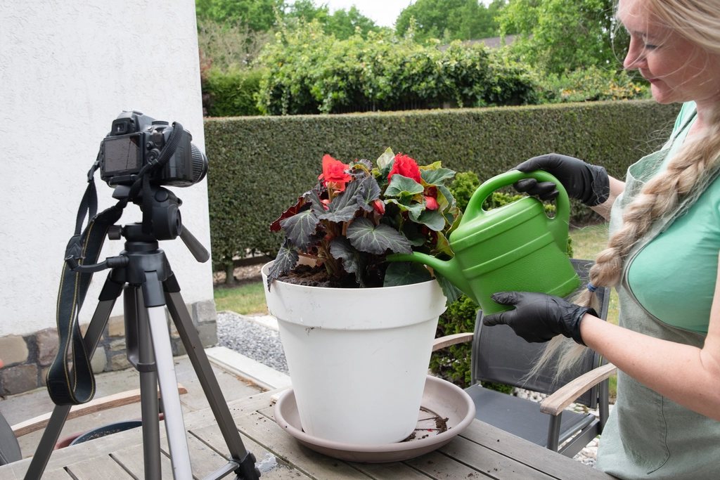 Améliorez la Qualité de Votre Blog avec Nos Services de Rédaction