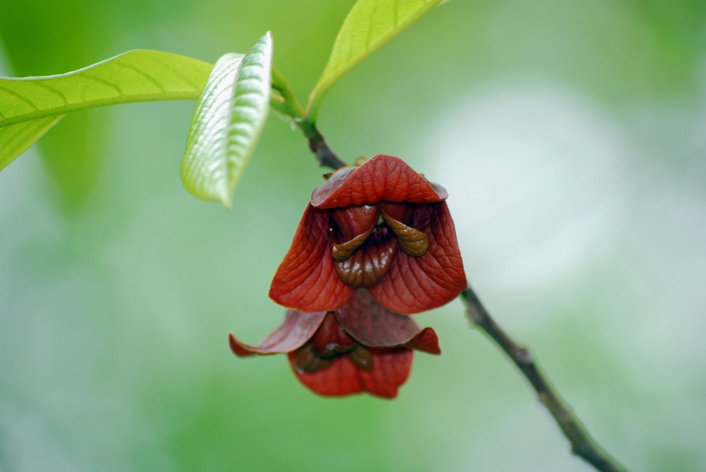 Entdecken Sie fesselnde Spezialthemen für Ihren Blog!