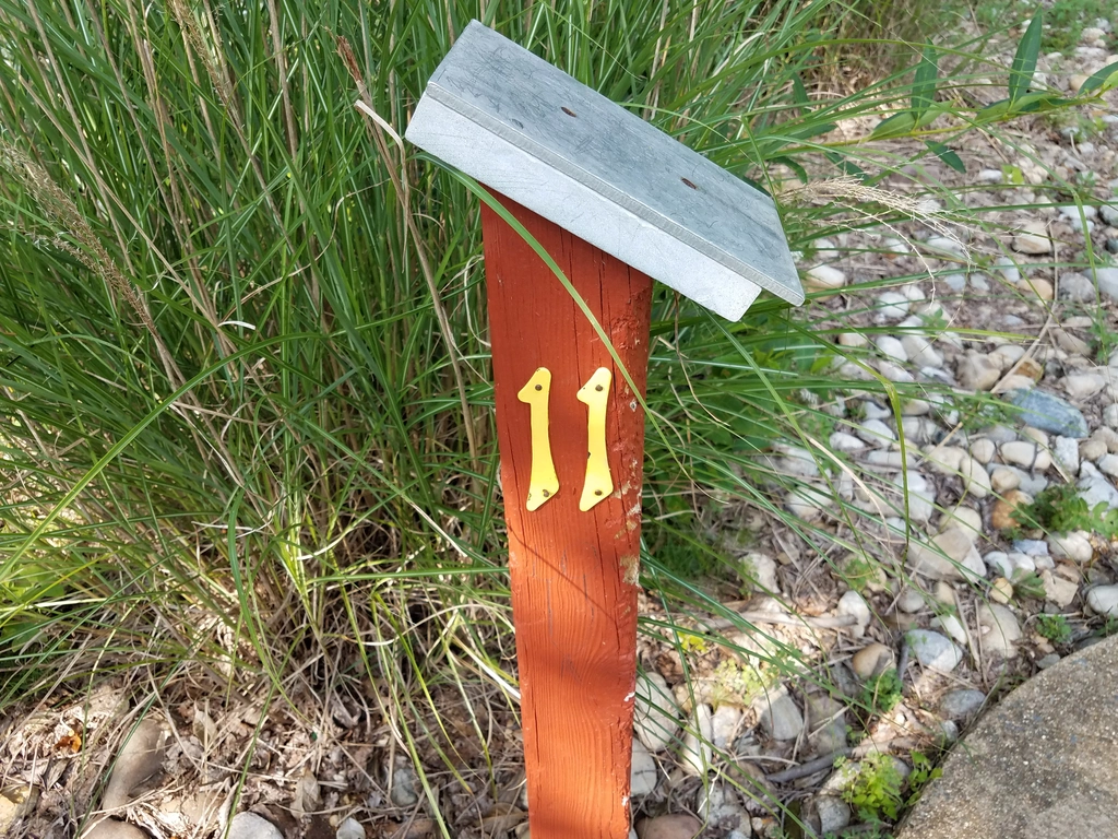 Ontdek de Beste Schrijfcursus voor Jouw Schrijfvaardigheden!