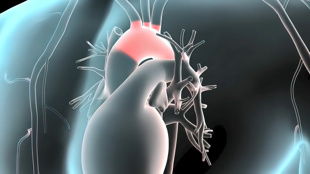 Des articles de blog de qualité à partir de 20 € – Découvrez nos services dès maintenant !